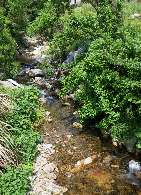 打鼓岭基地