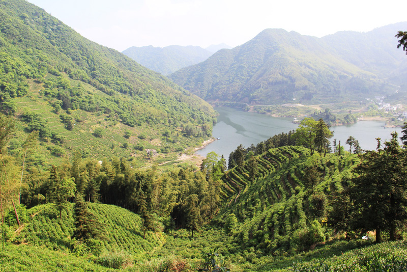 打鼓岭基地