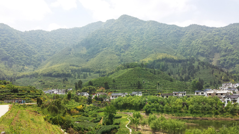 打鼓岭基地